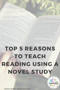 teach reading using a novel study